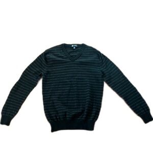 J Crew V Neck Merino Wool Striped Sweater